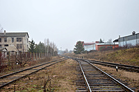 DSC 0031