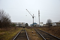 DSC 0041