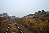 DSC 0045