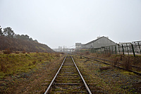 DSC 0049