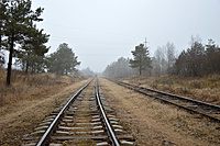 DSC 0054