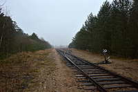 DSC 0060