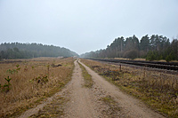 DSC 0061