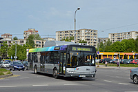 DSC 0632