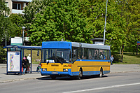 DSC 0696