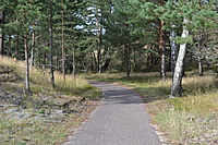 DSC 0634