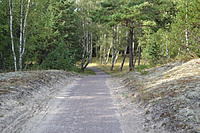 DSC 0635