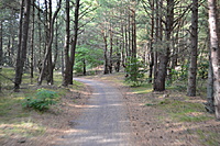 DSC 0637
