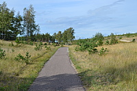 DSC 0642