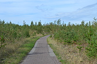 DSC 0643