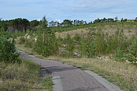 DSC 0644