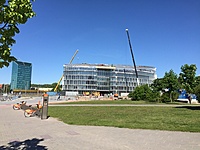 IMG 1937