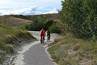 DSC 0650