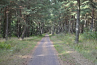 DSC 0653