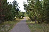 DSC 0654