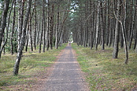 DSC 0658