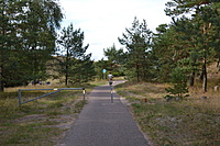 DSC 0660
