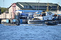 DSC 0719