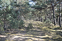 DSC 0394