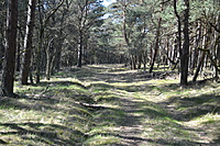 DSC 0406