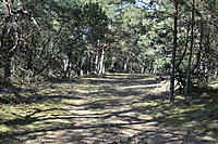 DSC 0409