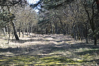 DSC 0410