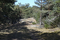 DSC 0411