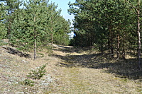 DSC 0415
