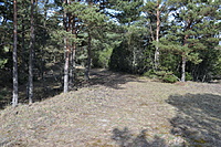 DSC 0420