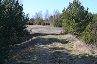 DSC 0436