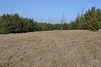 DSC 0448