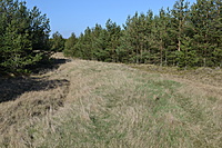 DSC 0449