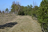 DSC 0456