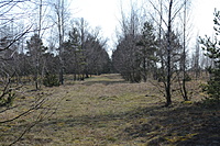 DSC 0464