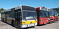 DSCF6269