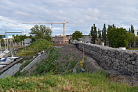 DSC 0064