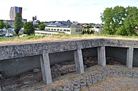 DSC 0066