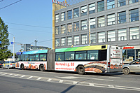 DSC 0110