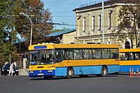 DSC 0311