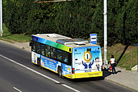 IMG 5192A