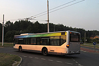 IMG 5237A