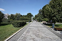 IMG 6982