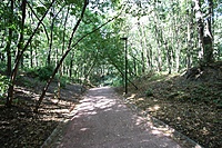 IMG 7040