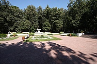 IMG 7043