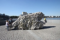 IMG 7050