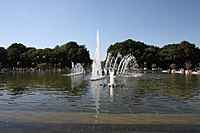 IMG 7056