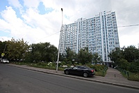 IMG 7133