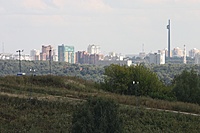 IMG 7146