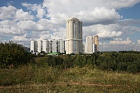IMG 7153