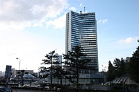 IMG 7191